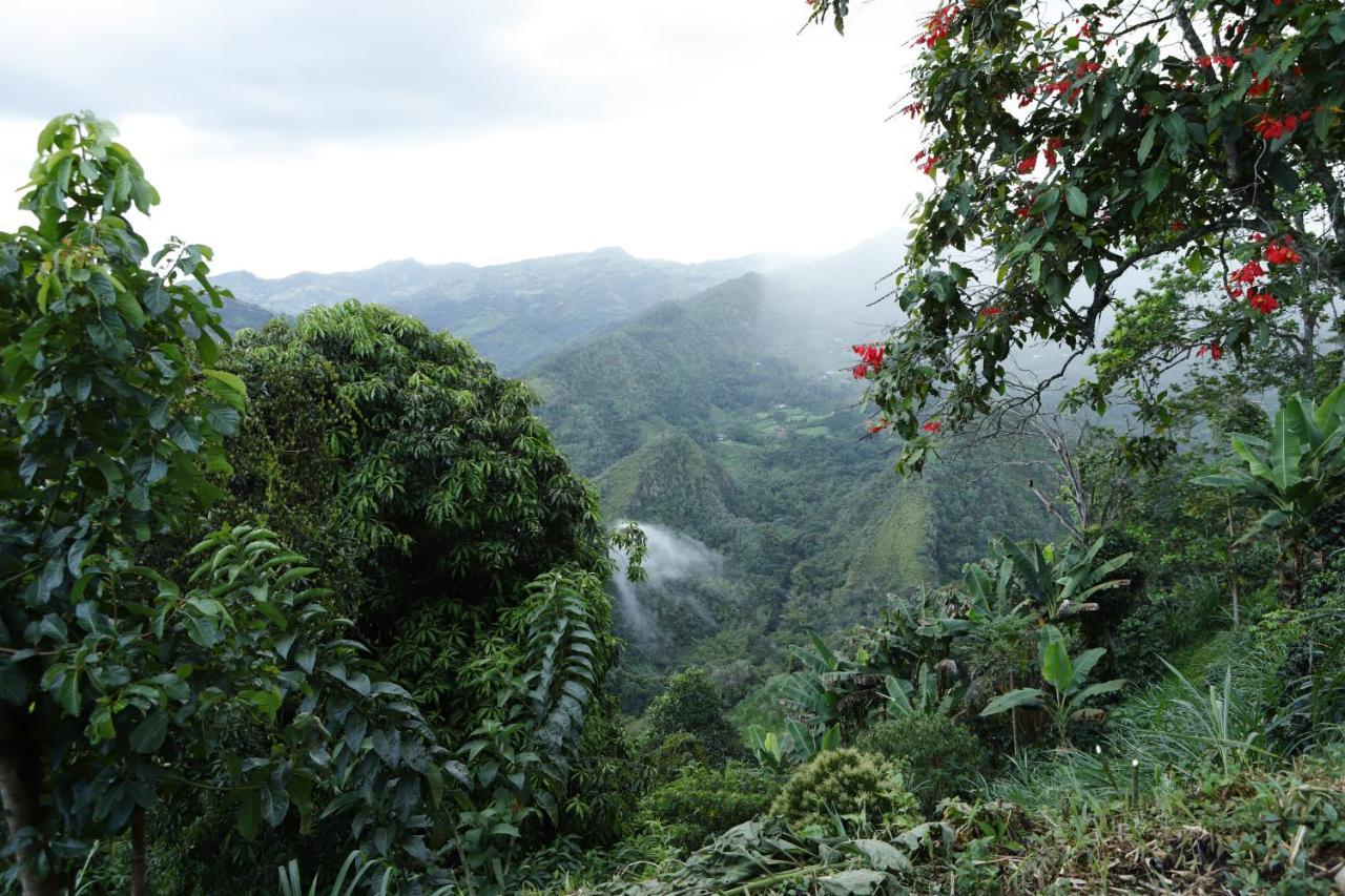 Ecohotel Monteverde La Vega  Dış mekan fotoğraf