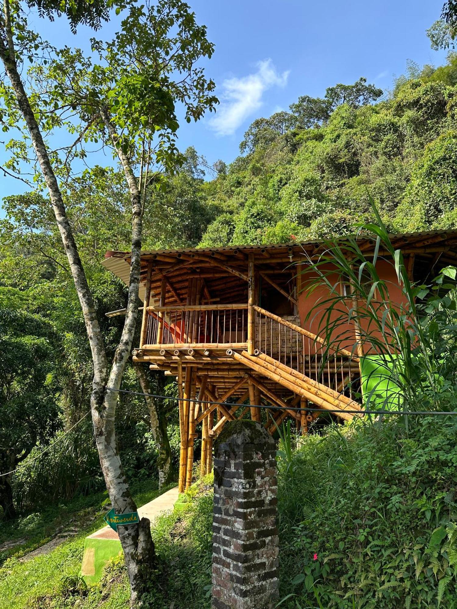 Ecohotel Monteverde La Vega  Dış mekan fotoğraf