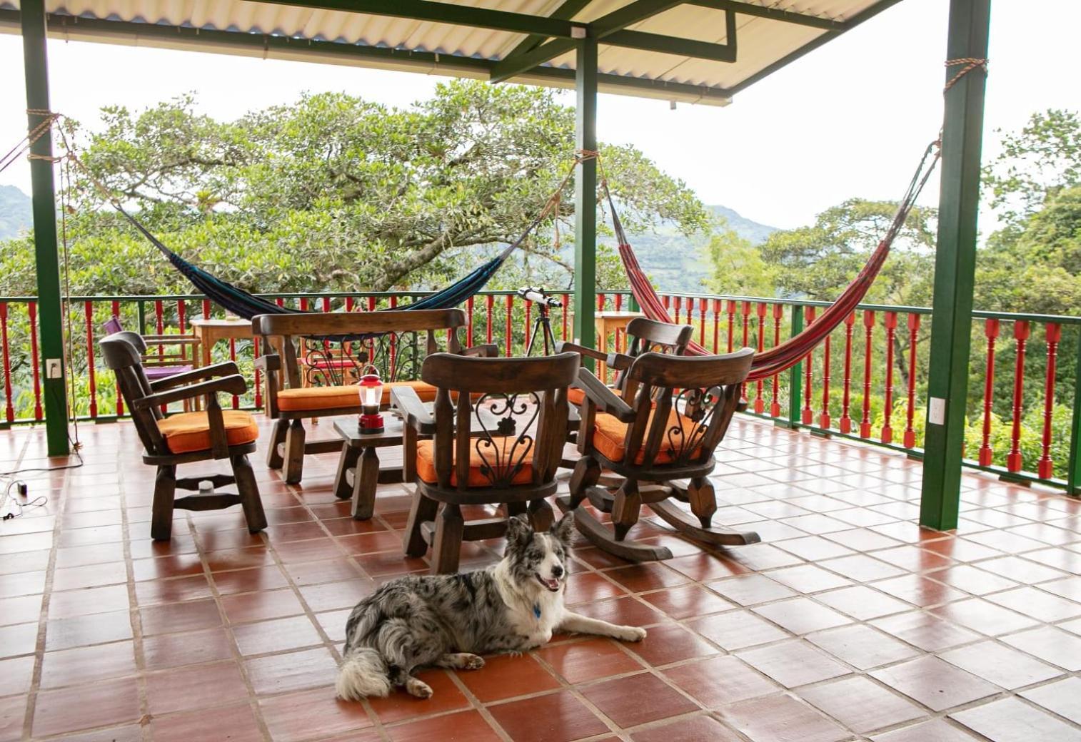 Ecohotel Monteverde La Vega  Dış mekan fotoğraf