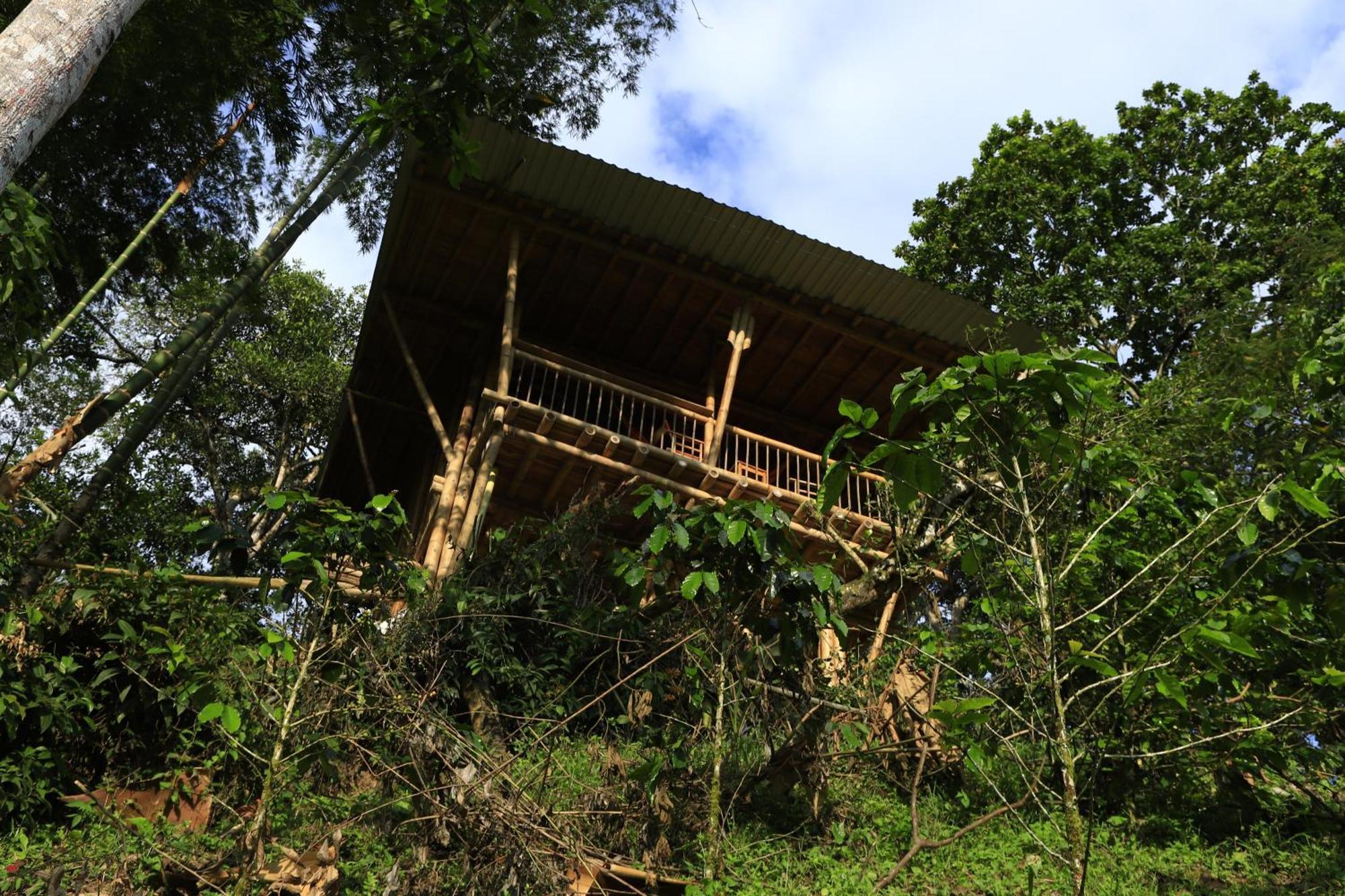 Ecohotel Monteverde La Vega  Dış mekan fotoğraf