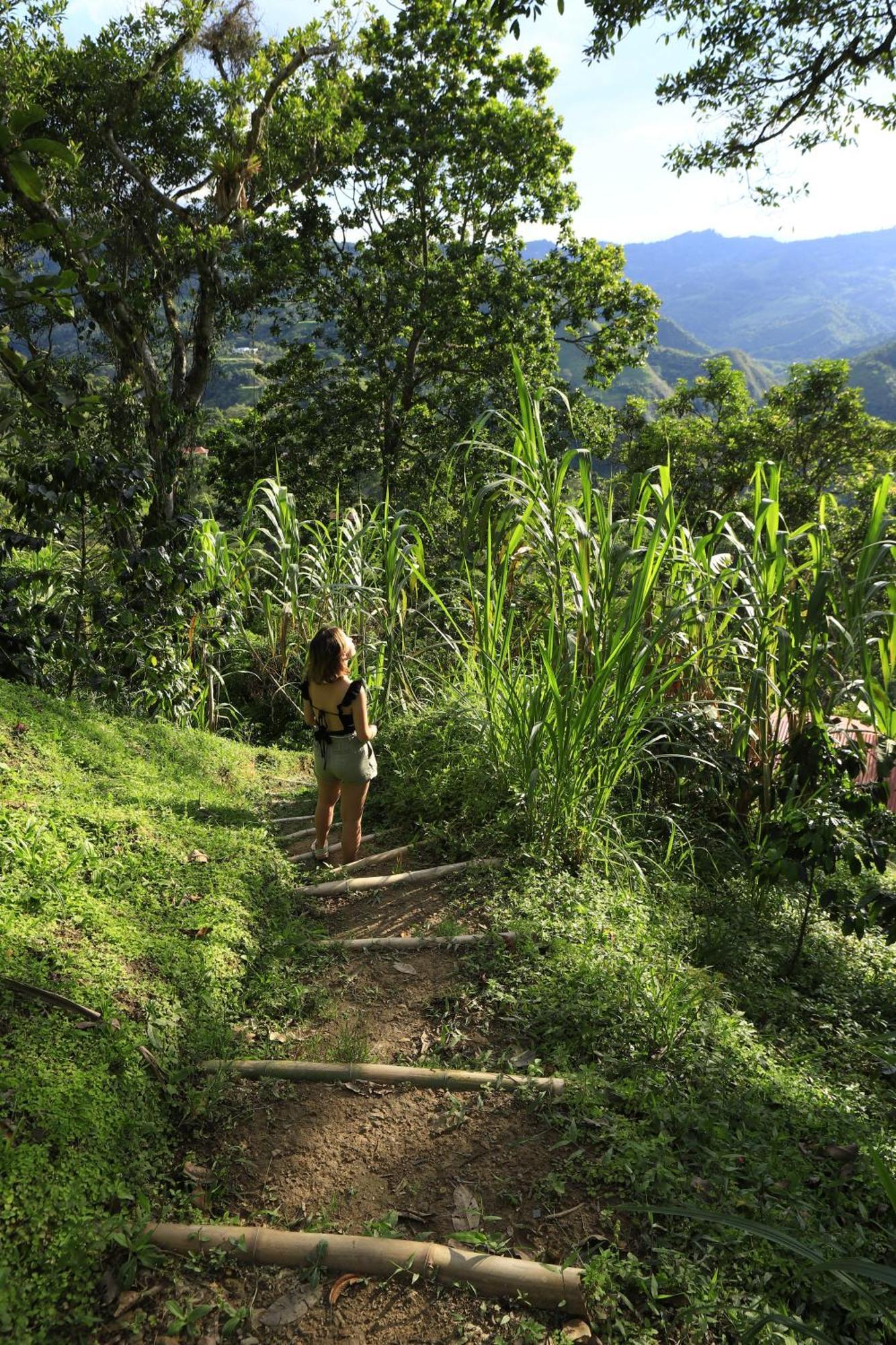 Ecohotel Monteverde La Vega  Dış mekan fotoğraf