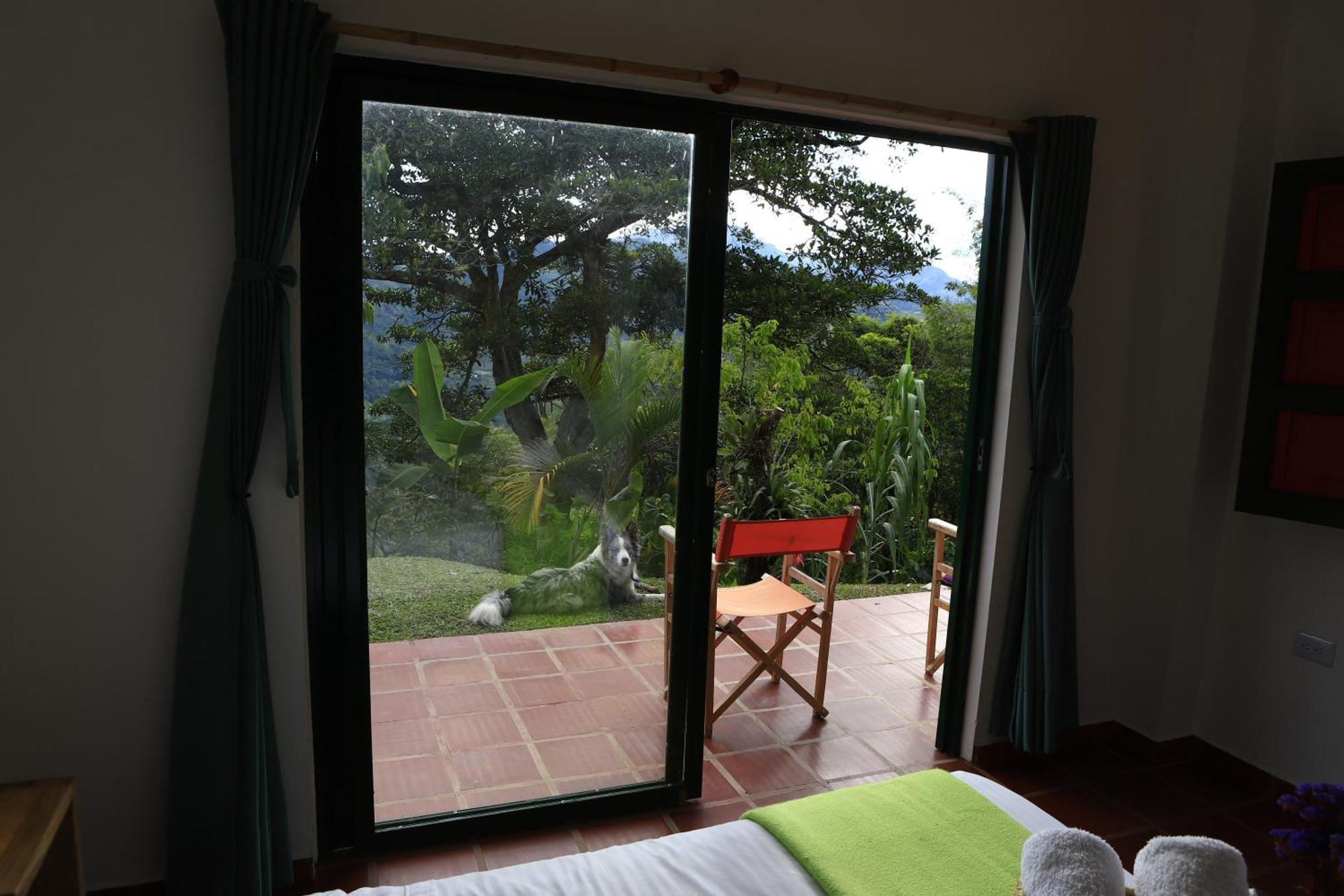 Ecohotel Monteverde La Vega  Dış mekan fotoğraf